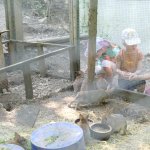 phoca_thumb_m_horeky  56 Fotogalerie